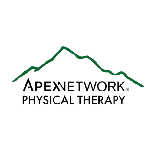 APEX NETWORK PHYSICAL THERAPY